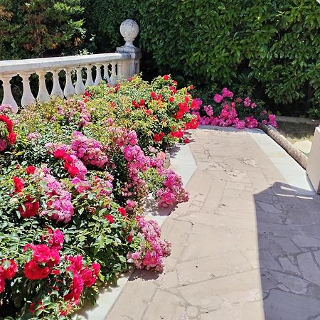 La Villa Des Ames Liees Draguignan Dış mekan fotoğraf