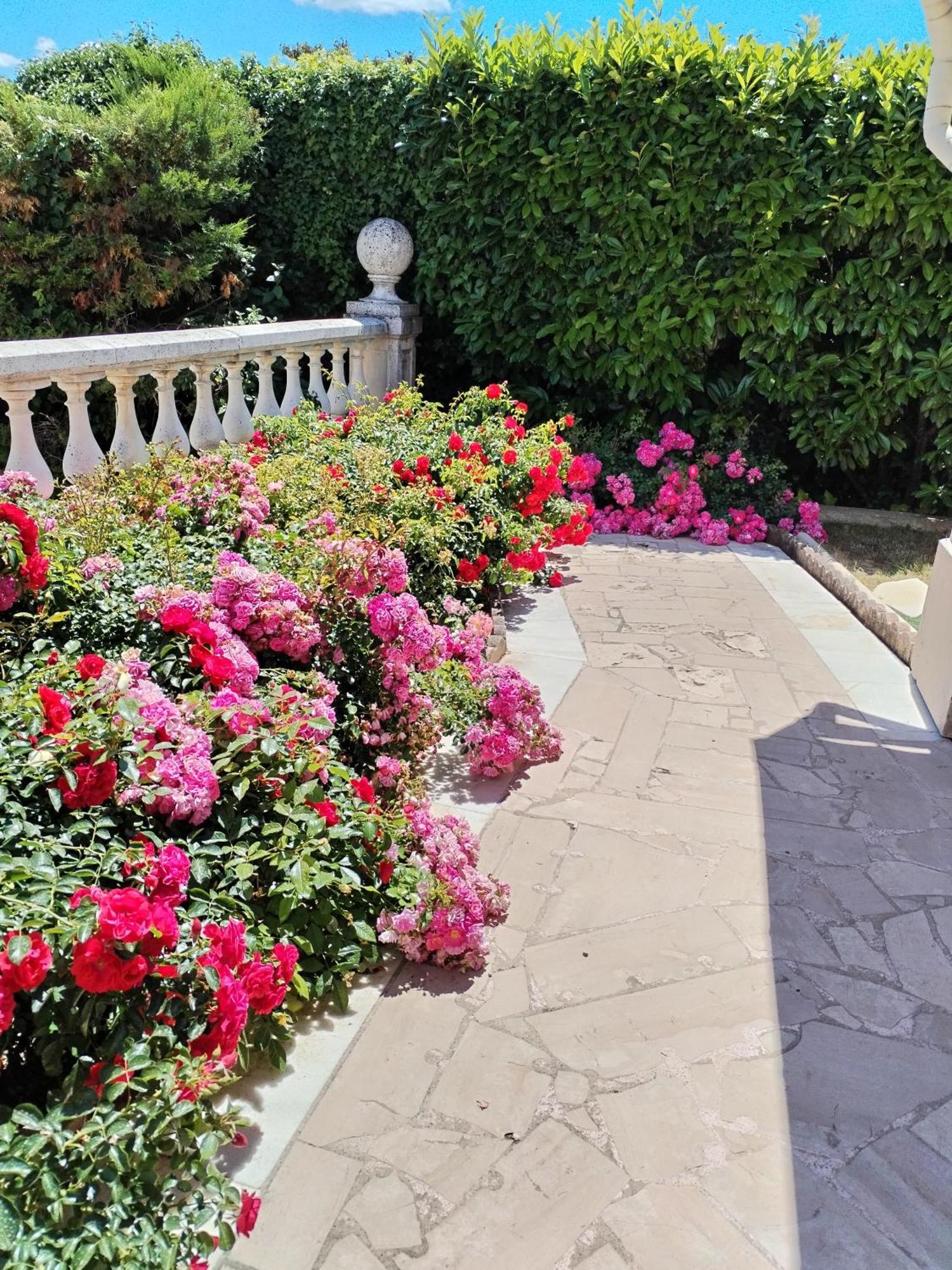 La Villa Des Ames Liees Draguignan Dış mekan fotoğraf